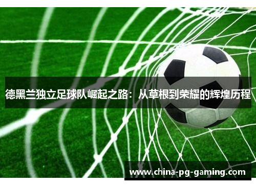 德黑兰独立足球队崛起之路：从草根到荣耀的辉煌历程