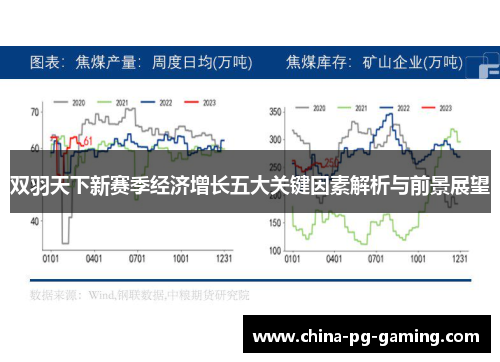双羽天下新赛季经济增长五大关键因素解析与前景展望
