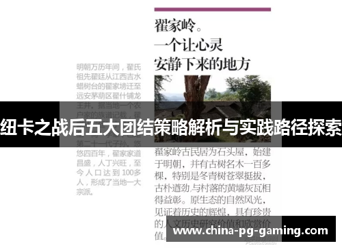 纽卡之战后五大团结策略解析与实践路径探索