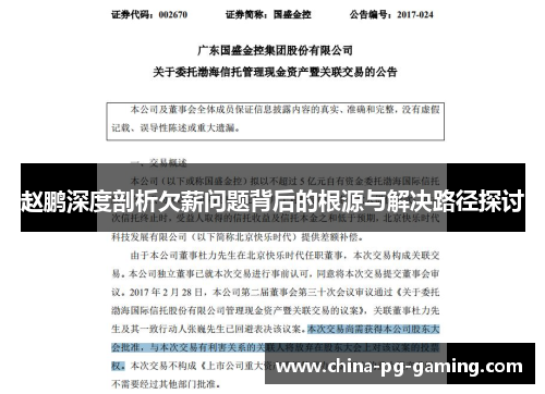 赵鹏深度剖析欠薪问题背后的根源与解决路径探讨