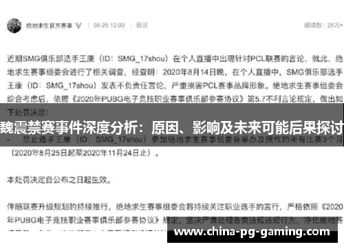 魏震禁赛事件深度分析：原因、影响及未来可能后果探讨
