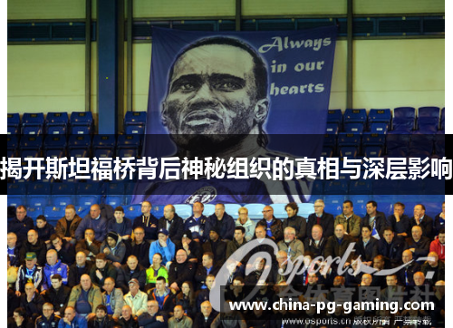 揭开斯坦福桥背后神秘组织的真相与深层影响